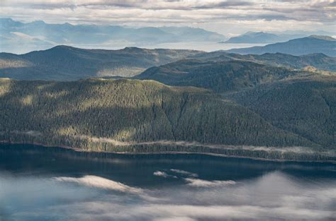 Conservation: Tongass National Forest | The Wilderness Society