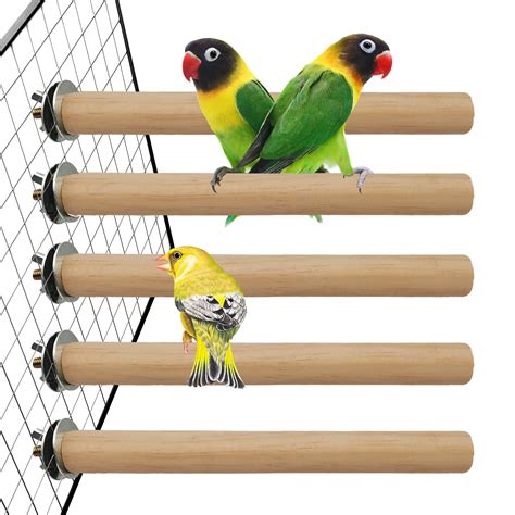 10 Best Canary Bird Perches for Optimal Comfort and Health ...