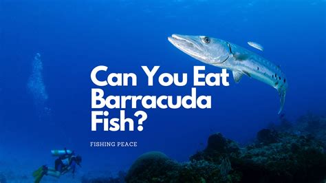 Can You Eat Barracuda? - Safety, Taste, and Cooking Tips