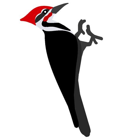 Woodpecker PNG transparent image download, size: 1000x1000px