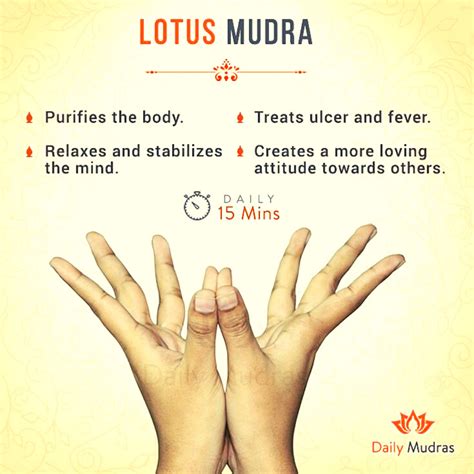 Benefits of doing Lotus Mudra- The Elysium | Mudras, Healing yoga, Yoga meditation inspiration