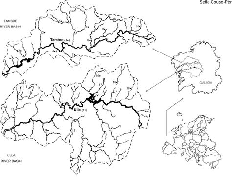 Figure 1 from Remarkable differences in the presence of the acanthocephalan parasite ...