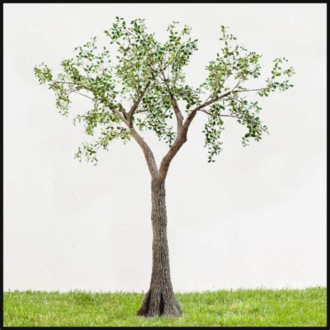 25 Best Collection of Large Artificial Outdoor Trees And Plants