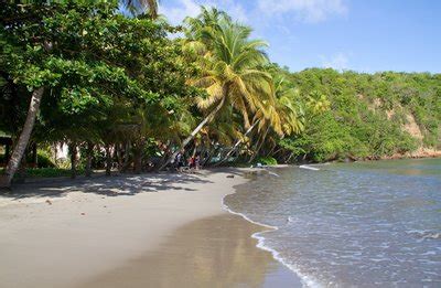 La Sagesse beach, Grenada - Ultimate guide (December 2024)