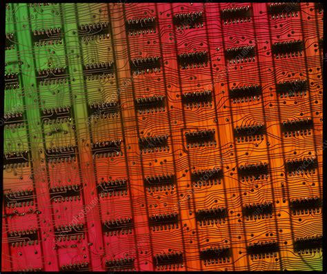 Rows of chips on computer memory circuit board - Stock Image - T356/0226 - Science Photo Library