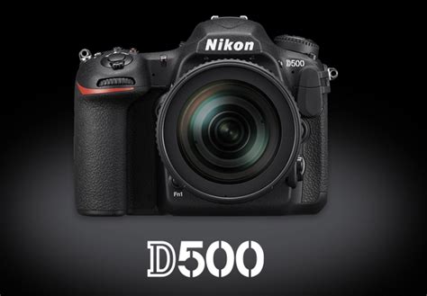 Nikon D500 vs D610 vs D750 vs Canon 5D Mark III Comparison - GearOpen.com