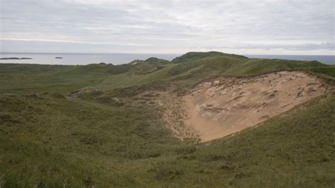 Sand dunes | The Wildlife Trusts