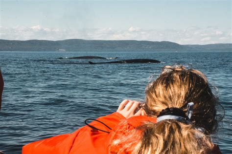 Youth immersed in Ocean Bridge learning journeys across Canada - Ocean Wise