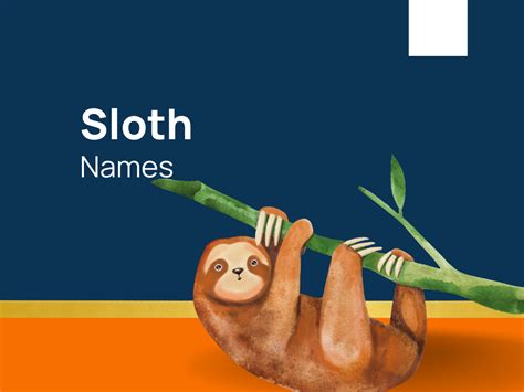 1240+ Sloth Names For Beloved Lazy Companion! (+Generator)