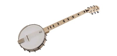 Types of Banjos - Different Styles, Pros and Cons, and How to Choose