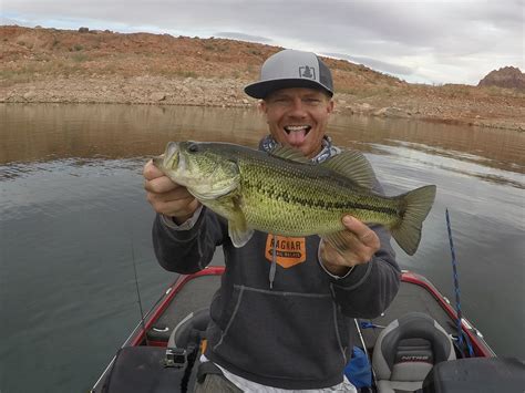 Lake Powell Fishing Report - Best Baits for Largemouth & Smallmouth ...