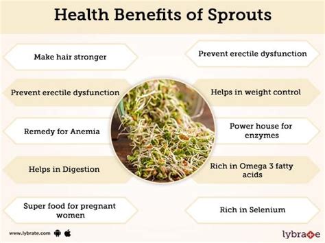 Top 178 + Brussel sprouts benefits for hair - polarrunningexpeditions