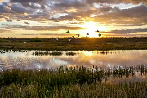 Big Changes to Indiana's State-Regulated Isolated Wetlands Program | Barnes & Thornburg