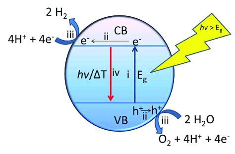 Scheme 1. Fundamental steps in photocatalytic water splitting. (i ...