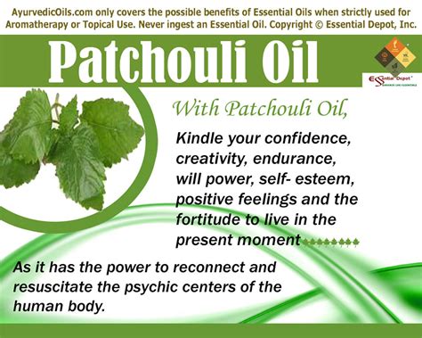 Gas Chromatography report of Patchouli oil | Essential Oil