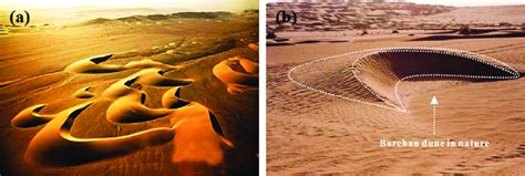 Barchan dune topography, (a) Barchan cluster, (b) A single barchan dune ...