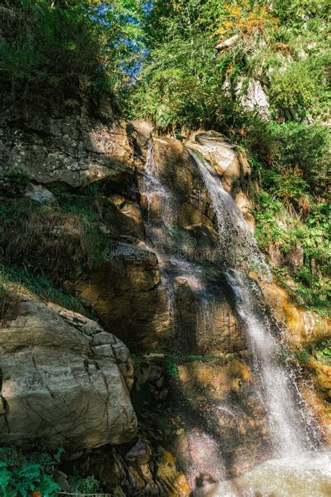 Waterfall in the Forest in the Valley of Mountains . Stock Photo - Image of travel, park: 134865884