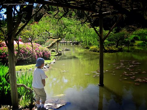 Autumn is a great time to visit the Washington Park Arboretum Seattle Japanese Garden - EVERYONE ...