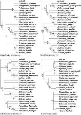 An Estimation of Erinaceidae Phylogeny: A Combined Analysis Approach