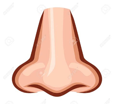 human nose clipart - Clipground