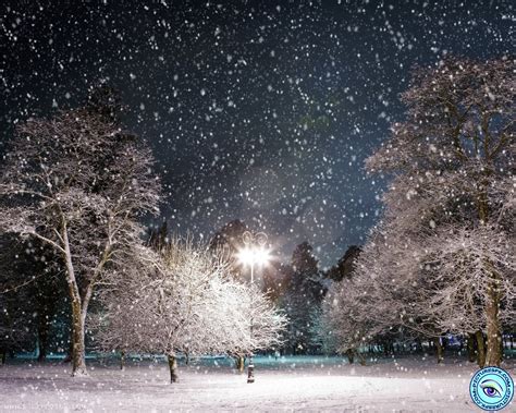 Animated Snow Falling Wallpaper - WallpaperSafari