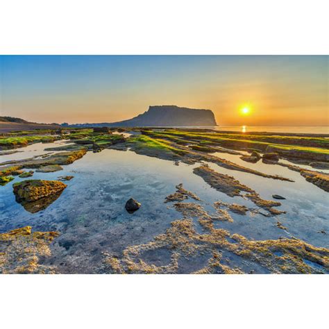 Highland Dunes Sunrise At Jeju Island On Canvas by Noppasin Wongchum Print - Wayfair Canada