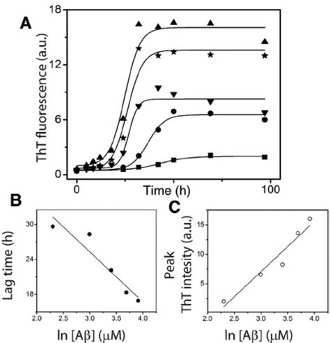 A β aggregation reactions. (A) Aliquots of A β aggregation reactions... | Download Scientific ...