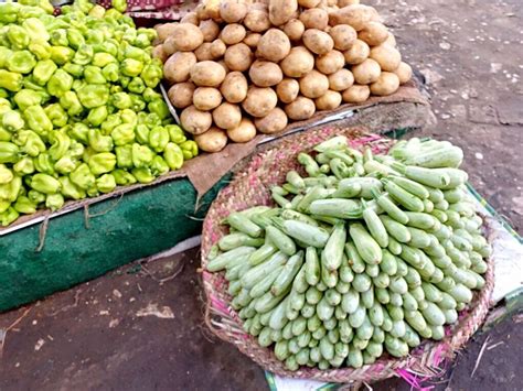 Egyptian Zucchini (Clarimore), Peppers and Potatoes. Luxor Market, Egypt | Stuffed peppers ...