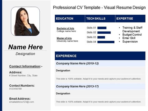 Professional Cv Template 2012 One Page Cv Sample - Riset