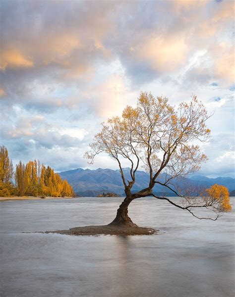 Nice to meet you.. | Sunrise lake, Lake wanaka, Landscape scenery