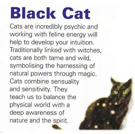 Black cats... | Cat spirit, Spirit guides, Animal spirit guides