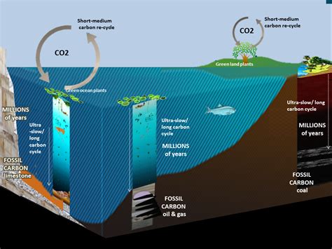 CO2 sources