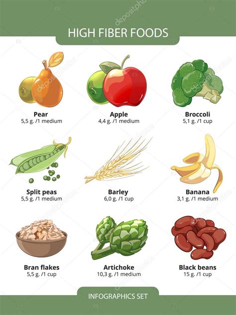 High fiber foods vector infographics — Stock Vector © MSSA #91155844