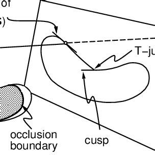 The occluding contour. Each point p on the | Download Scientific Diagram