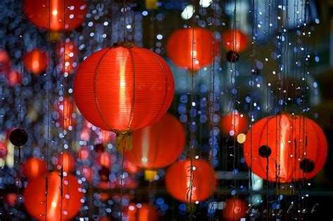 happy lunar new year 2012! | Chinese paper lanterns, Paper lanterns ...