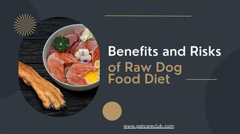 Weighing The Benefits and Risks of Raw Dog Food Diet - PetCareClub by PetCareClub - Issuu