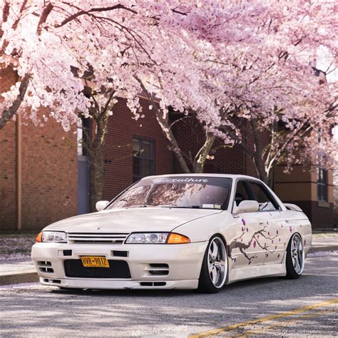 Original Die-Cut Sakura Tree Livery | Spinnywhoosh Graphics