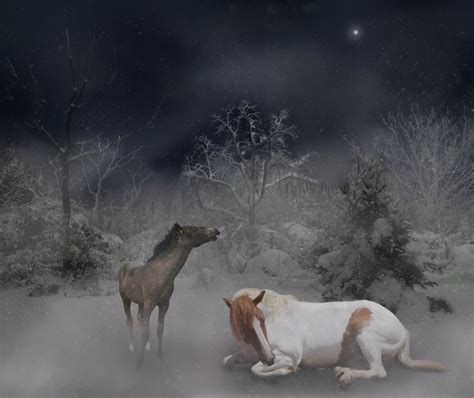 silent night. Wallpaper by cas887 on DeviantArt