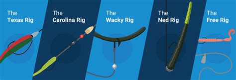 Rig It Right: An Expert Guide to the Best Bass Fishing Rigs