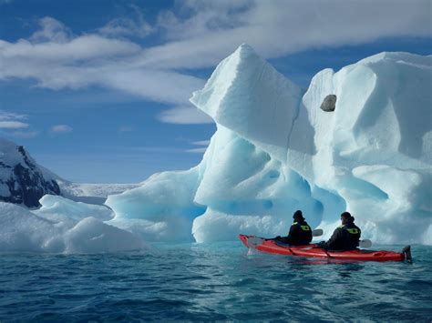 Antarctica Cruise Deals| Expert led wildlife holiday| AQUA-FIRMA