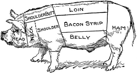 Pig Diagram | ClipArt ETC