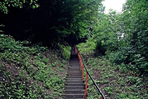 Stairs To Poenari Castle, Romania Stock Photo - Image of mountains, stairs: 153476060