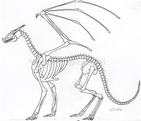 Dragon Skeleton by WindieDragon on DeviantArt