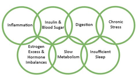 7 Root Causes of Weight Gain and Chronic Health Concerns - Marsha Fenwick Nutrition