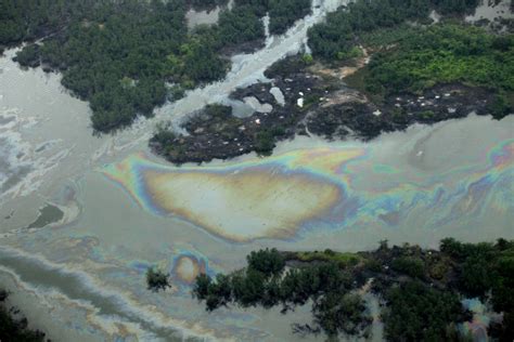 Amnesty International slams Nigerian gov't, Shell over Niger Delta oil pollution | CTV News