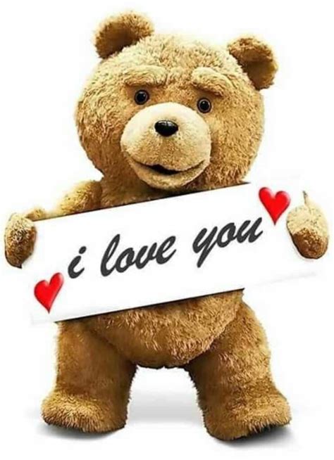 50 Beautiful & Cute Teddy Bear Images Pics For Teddy Bear Whatsapp Dp