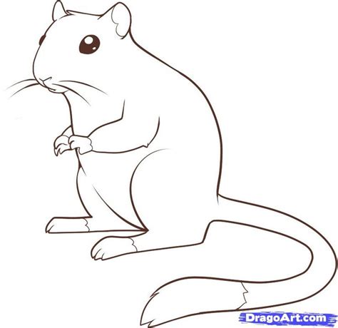 How to Draw a Gerbil, Step by Step, Pets, Animals, FREE Online Drawing Tutorial, Added by Dawn ...