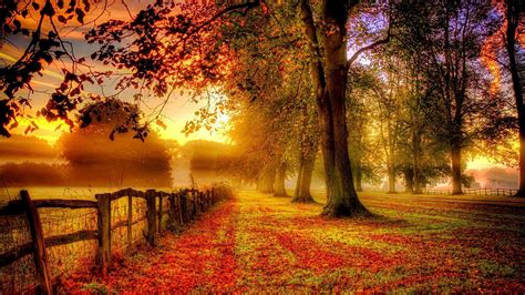 Autumn Sunsets Wallpaper Backgrounds (57+ images)