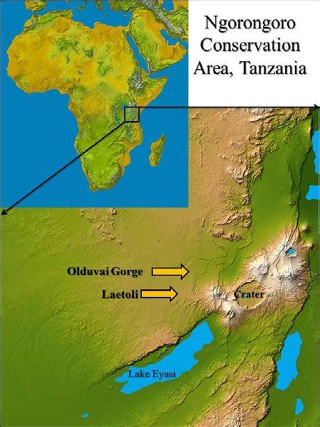 Ngorongoro Crater Map