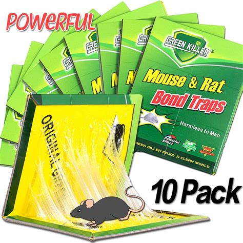 Top 10 Best Mouse Traps in 2021 Reviews - Go On Products